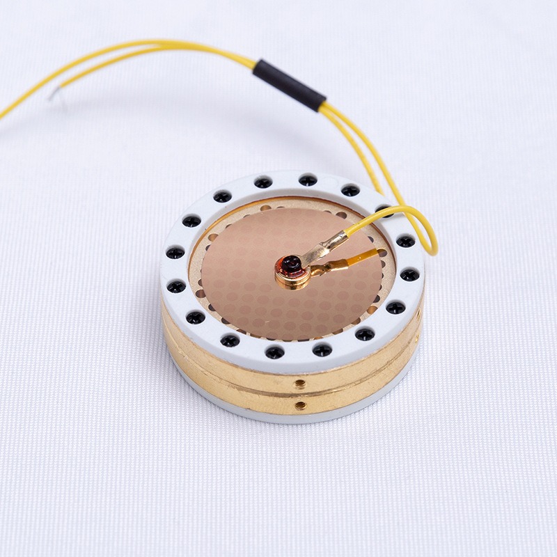Microphone Capsule - Cápsula de Micrófono de Diafragma Grande