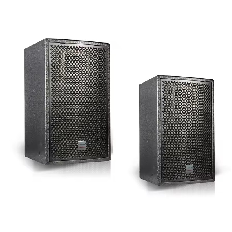 Altavoz Pasivo de 2 Vías de Ra - Full Range Speaker reseña y precio