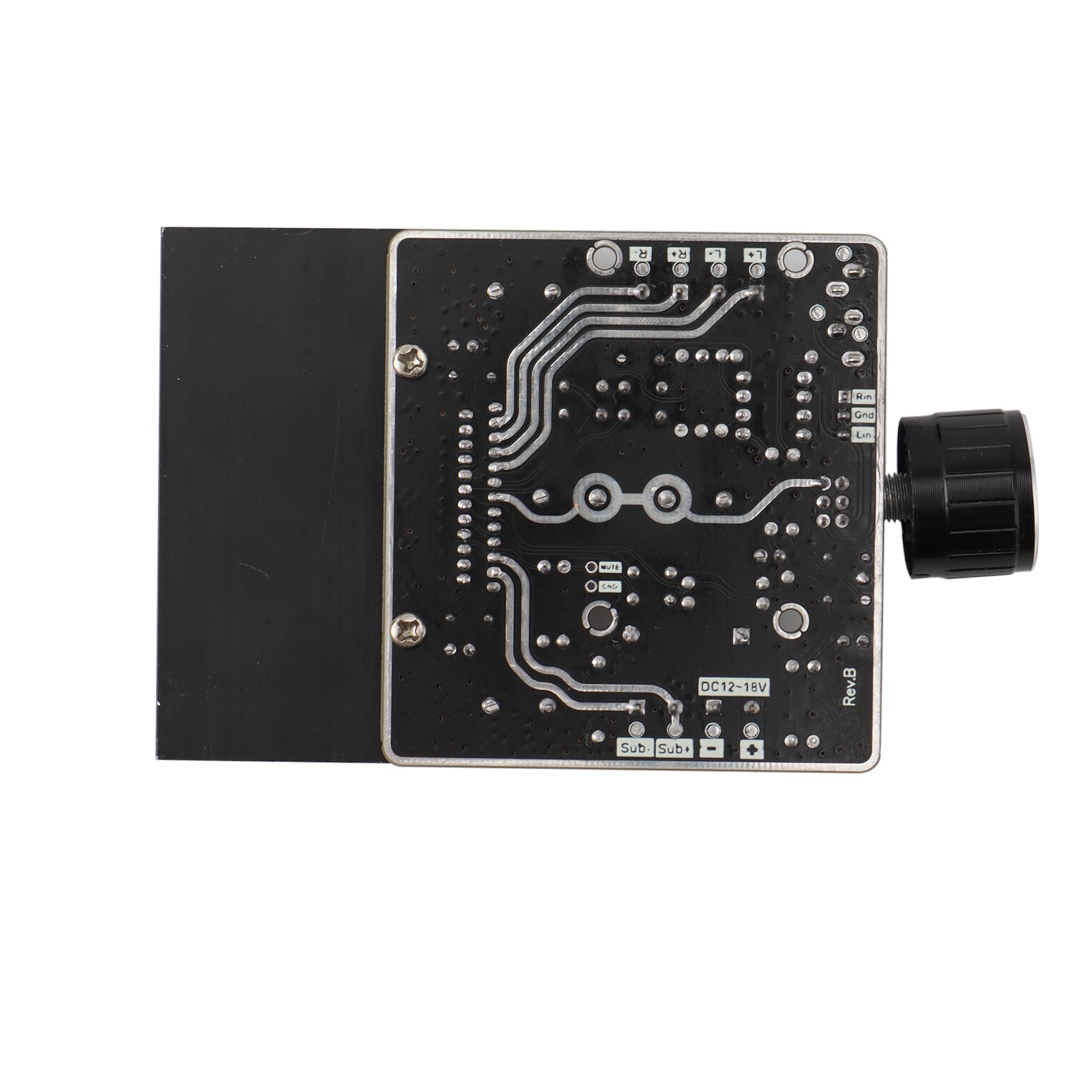 Placa amplificadora de potenci - Audio Amplifier Board reseña y precio